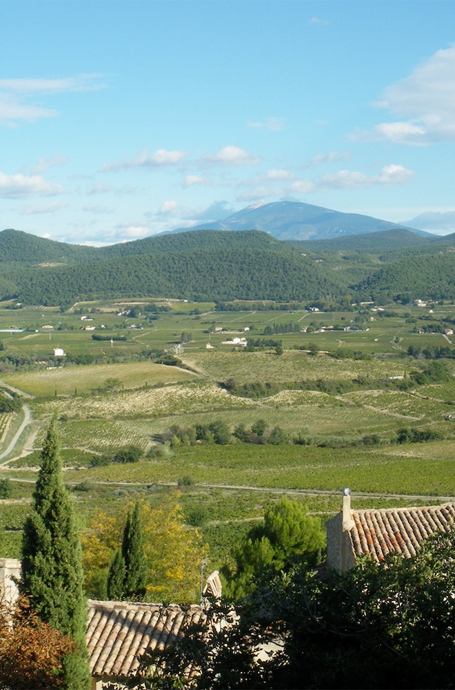 Paysage de vallée du Rhône